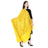 Women's Aari Embroidered Wool Shawl